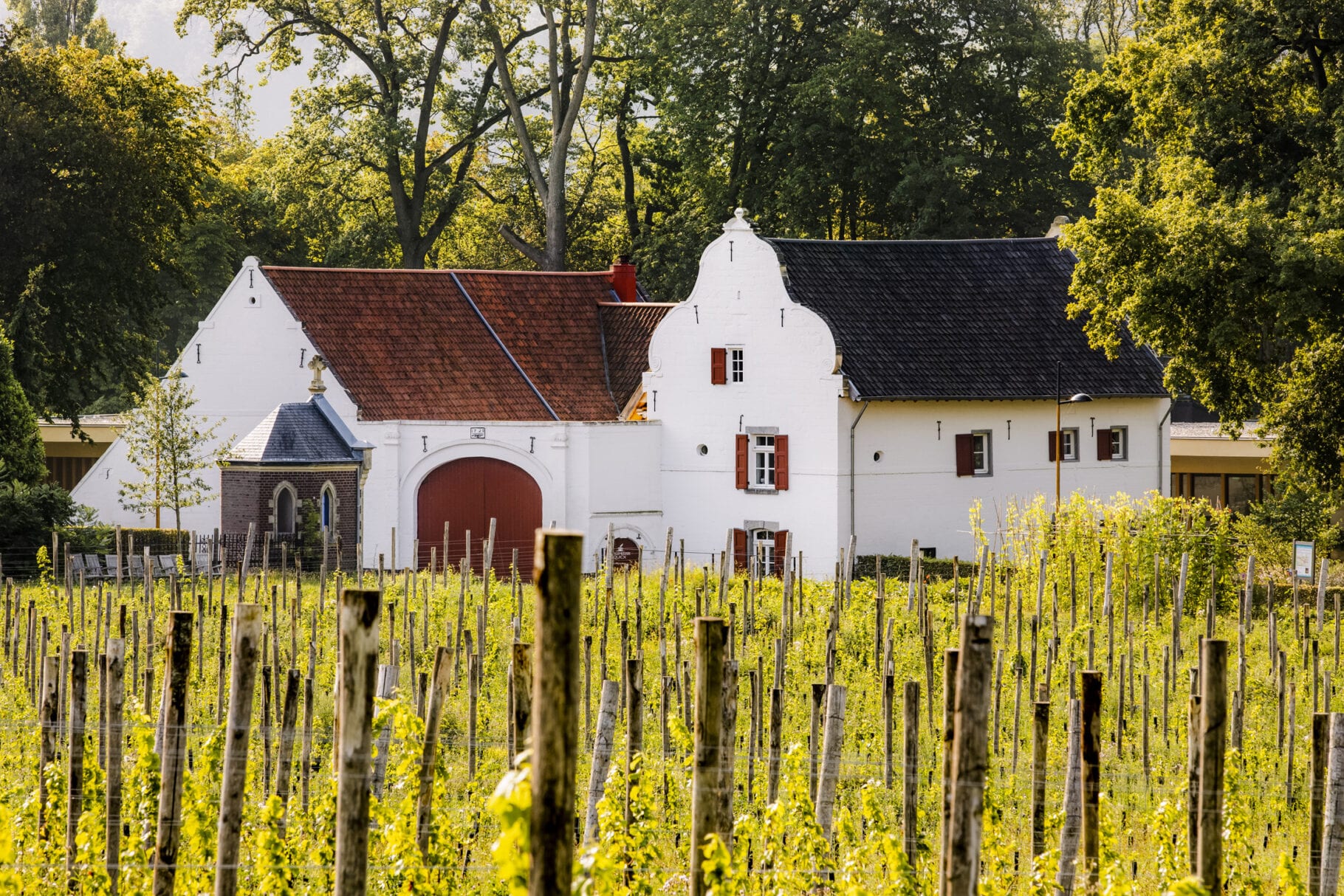 5.1 wijnen en slapen 5 x bourgondisch genieten op wijnreis in Zuid-Limburg