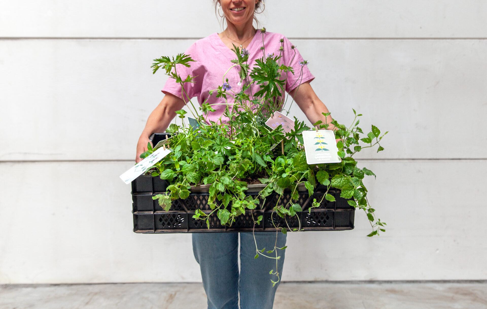 Biolgoisch tuintje 4 Winnen op Woensdag: win een inheems plantenpakket om 2m2 tuin te vergoenen