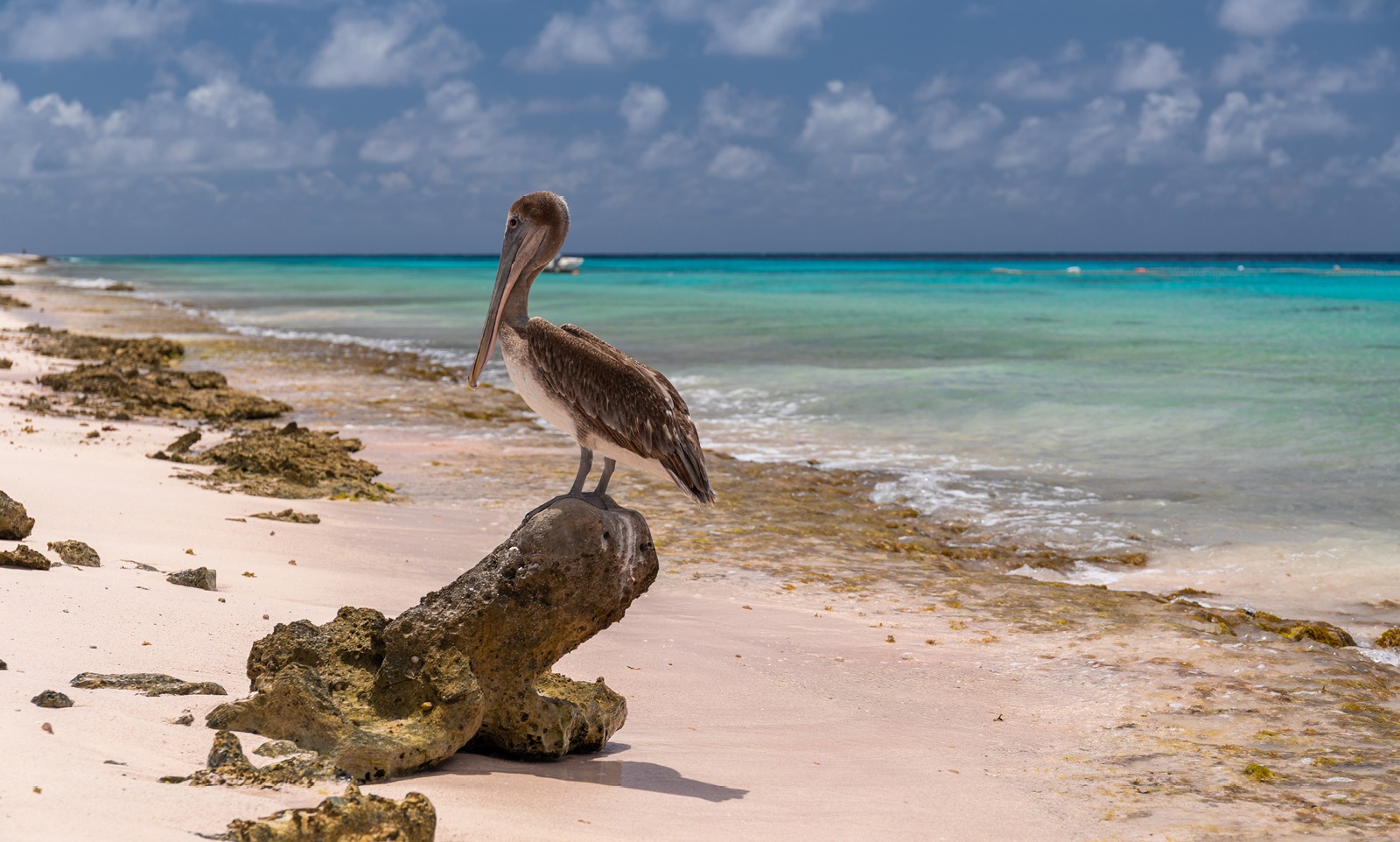 Header 73 WendyOnline.nl - Jouw gids voor een geluk & gezonde lifestyle